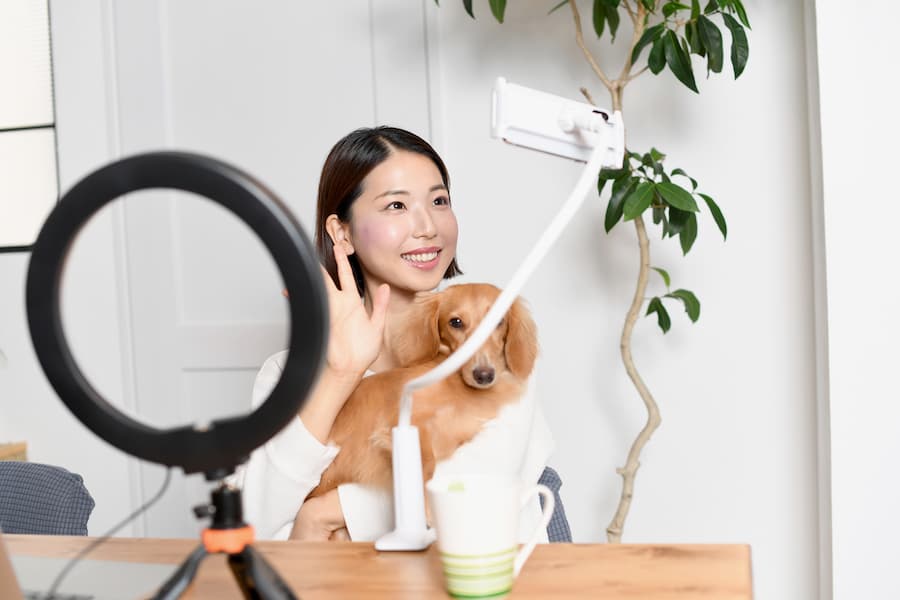 独立②